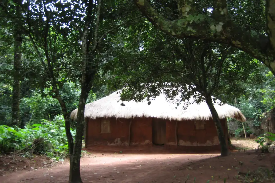 Hütte im Wald