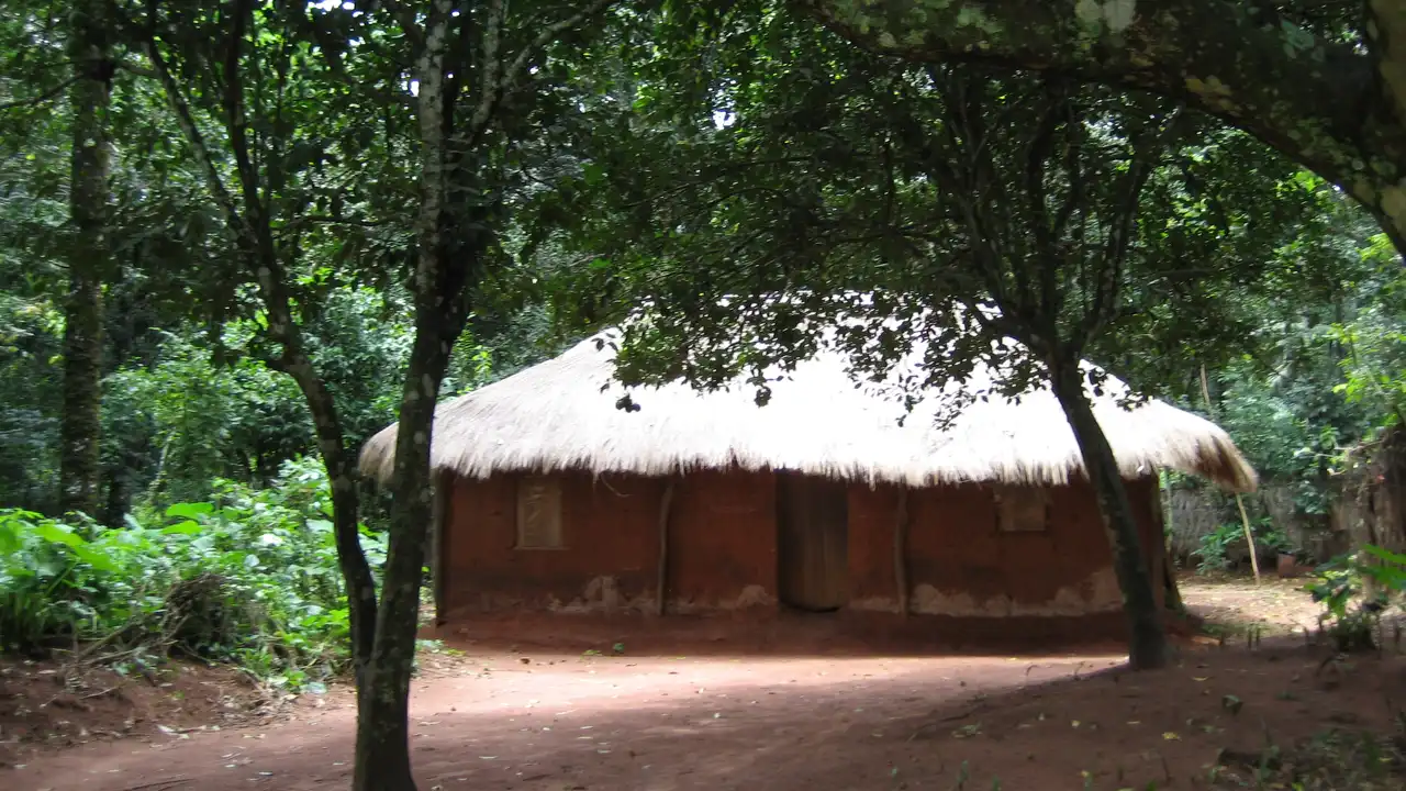 Hütte im Wald